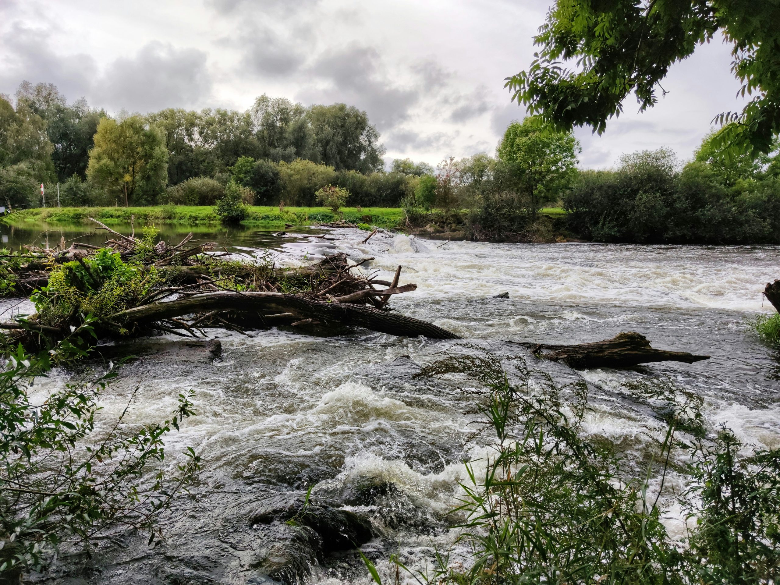 Lire la suite à propos de l’article Plus jamais ça ? Le changement climatique sur les bassins versants des provinces de Liège et du Luxembourg
